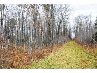 Property photo 76 - REAL ESTATE AUCTION - 1,428+/- ACRES OFFERED IN 10 TRACTS IN PRICE CO., WI